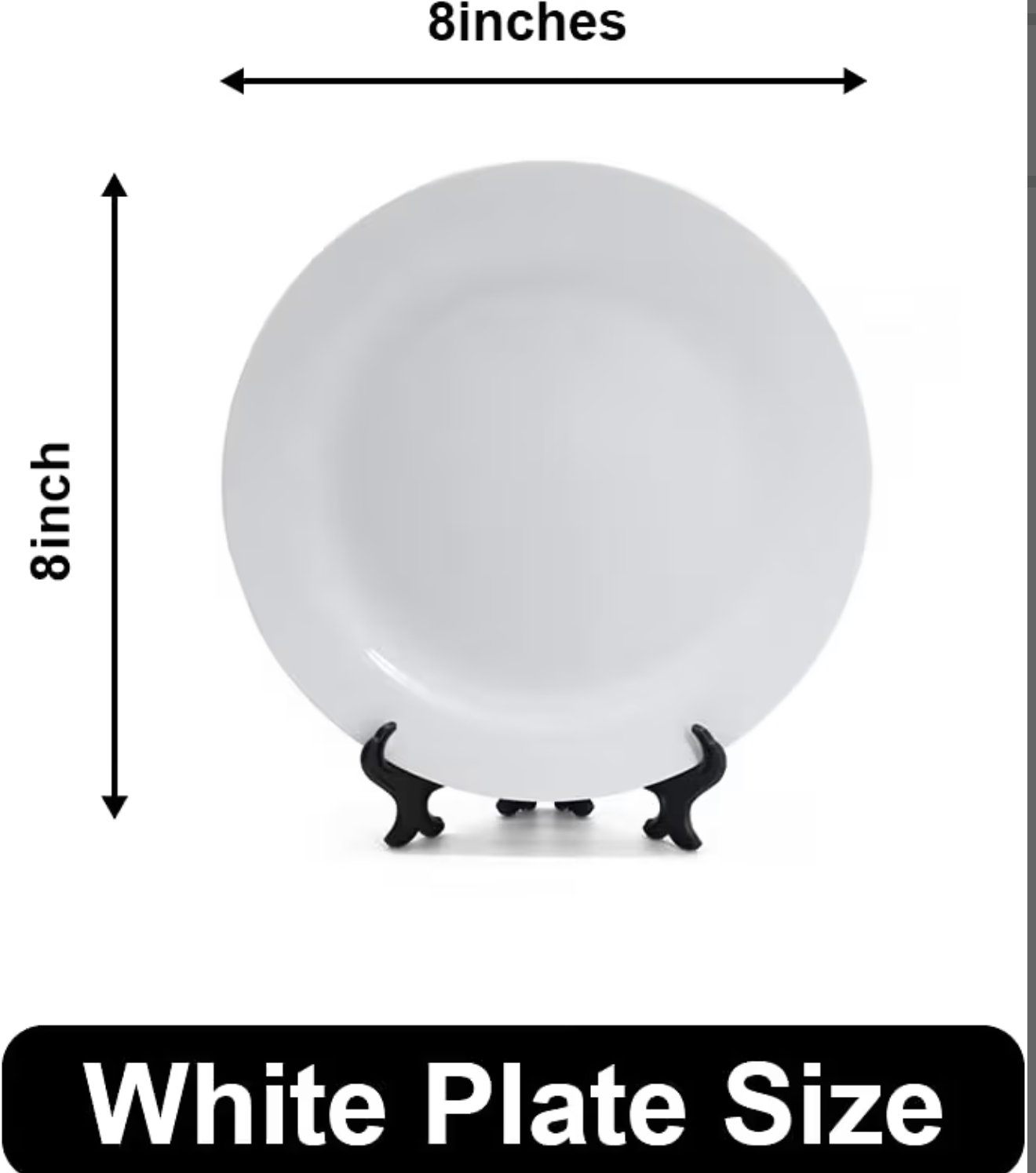 DINNER PLATES
