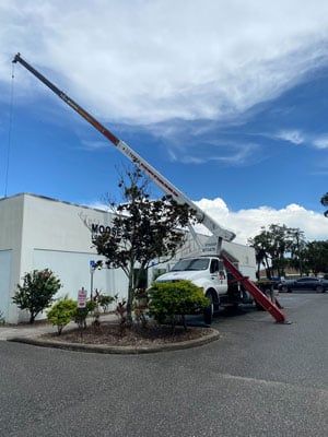 Crane Outside a Commercial Building