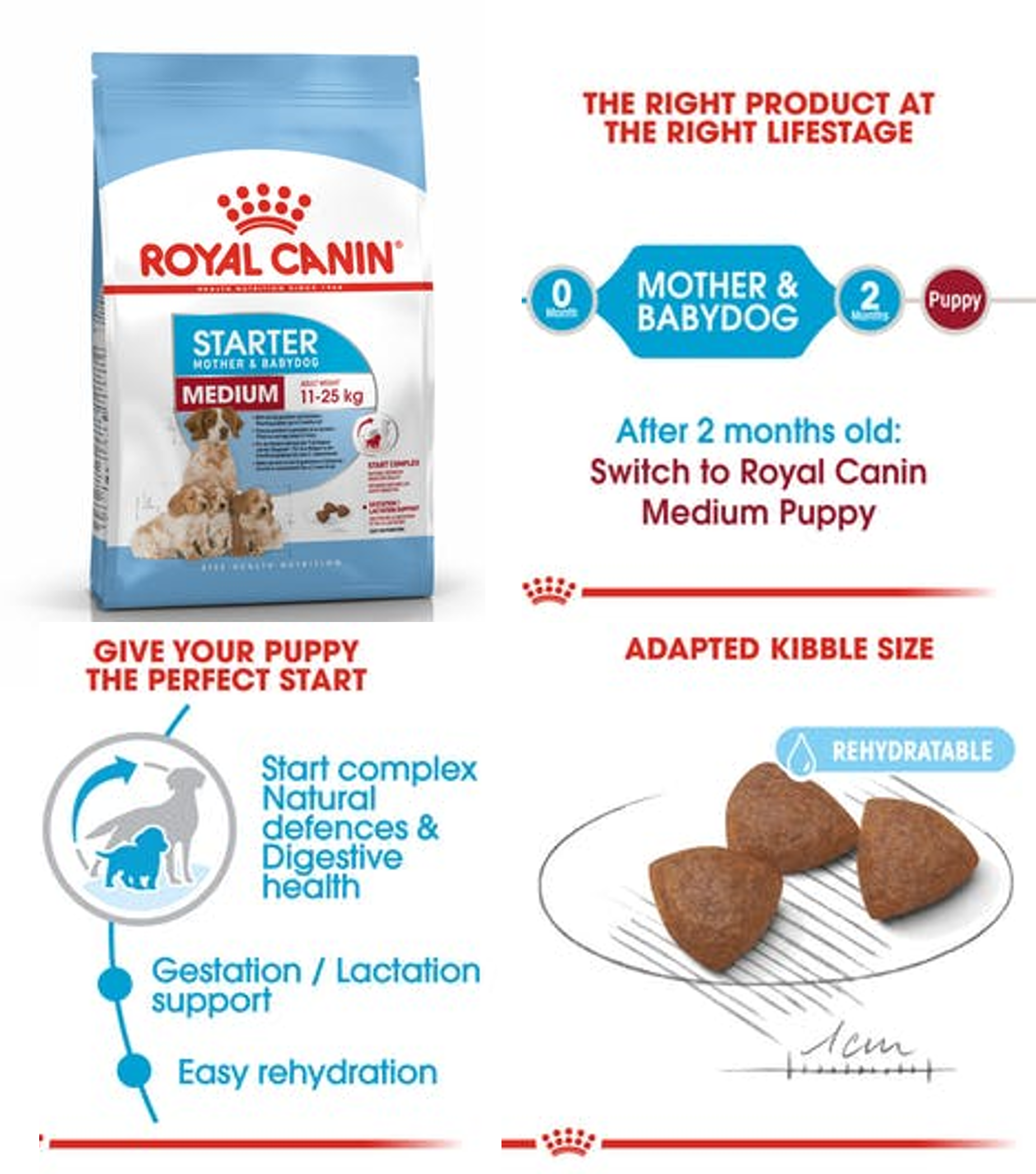 מזון של חברת רויאל קנין ייעודי לכלבה בהריון ובהנקה 