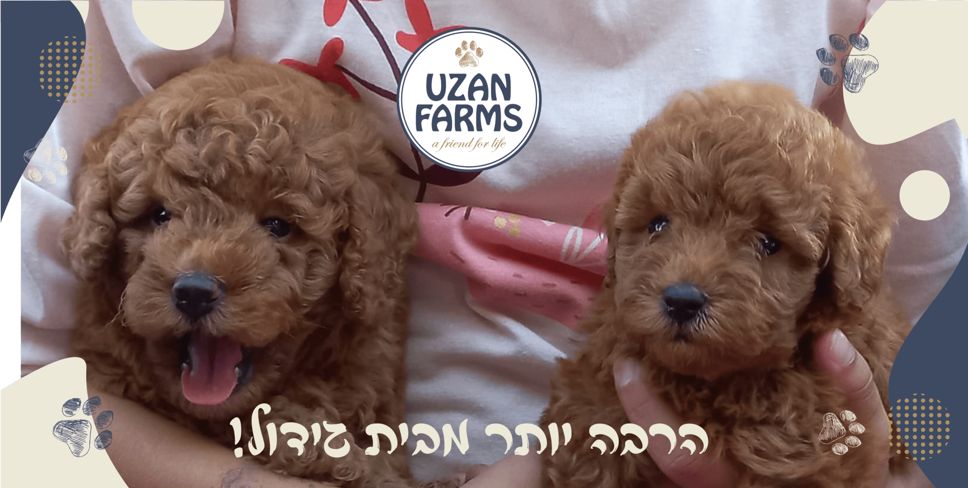 האם גור צריך תיחום ולמה