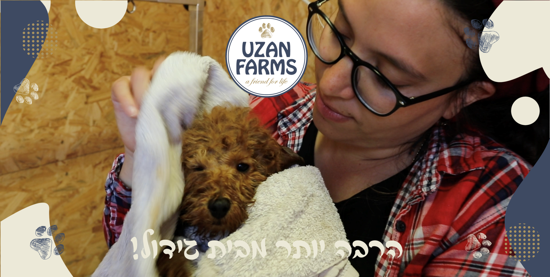 גור פודל טוי אחרי חשיפה ראשונה למקלחת. עם הרבה חום ואהבה