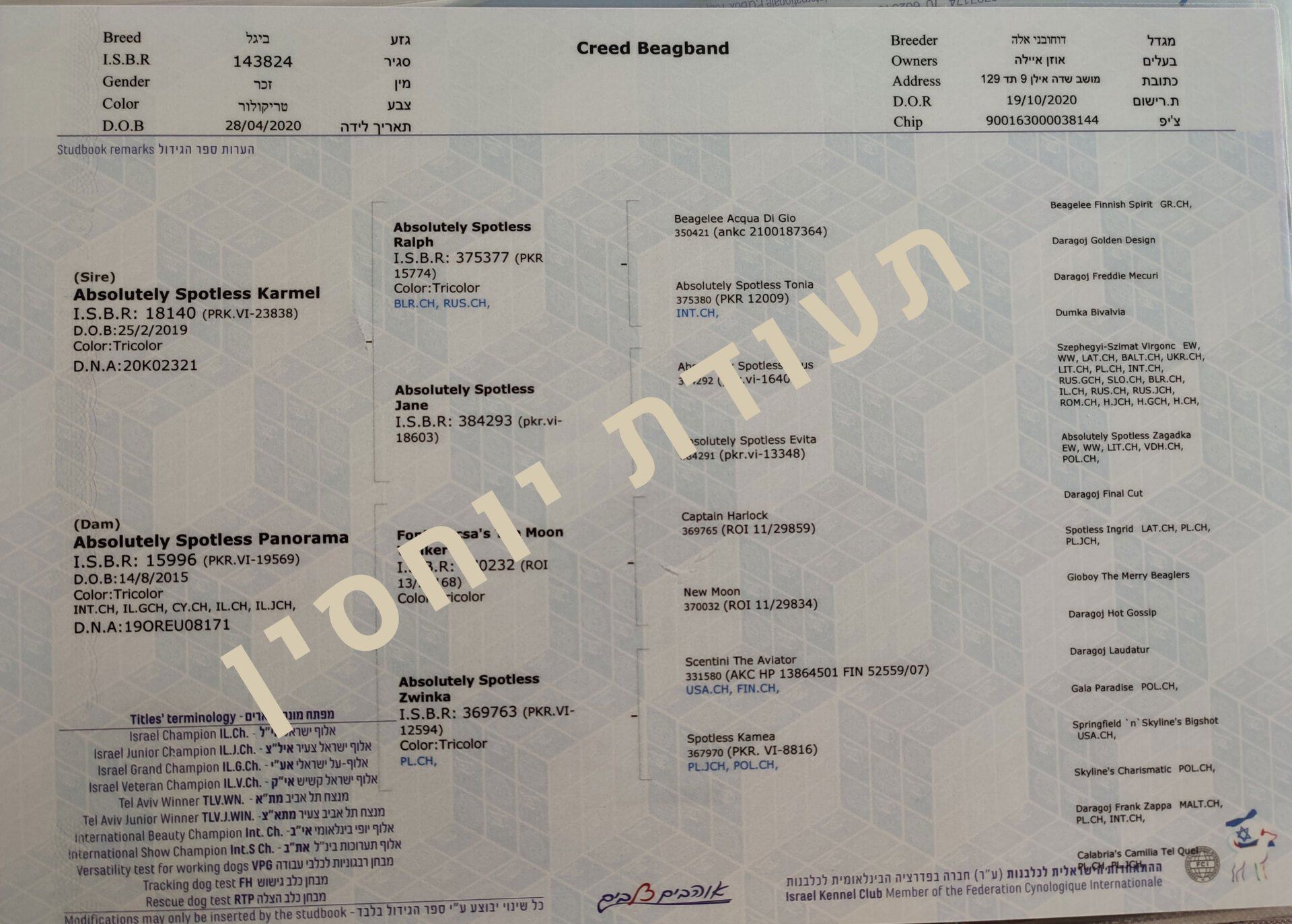 דוגמה לתעודת יוחסין מטעם הFCI של פודל טוי אלופת ישראל מ Uzan Farms
