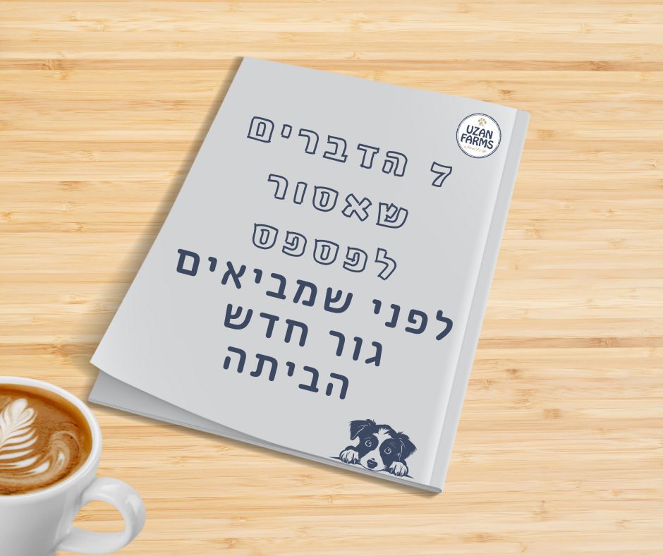 מדריך הכוונה איך לבחור גור, ואיך למצוא מגדל אמין