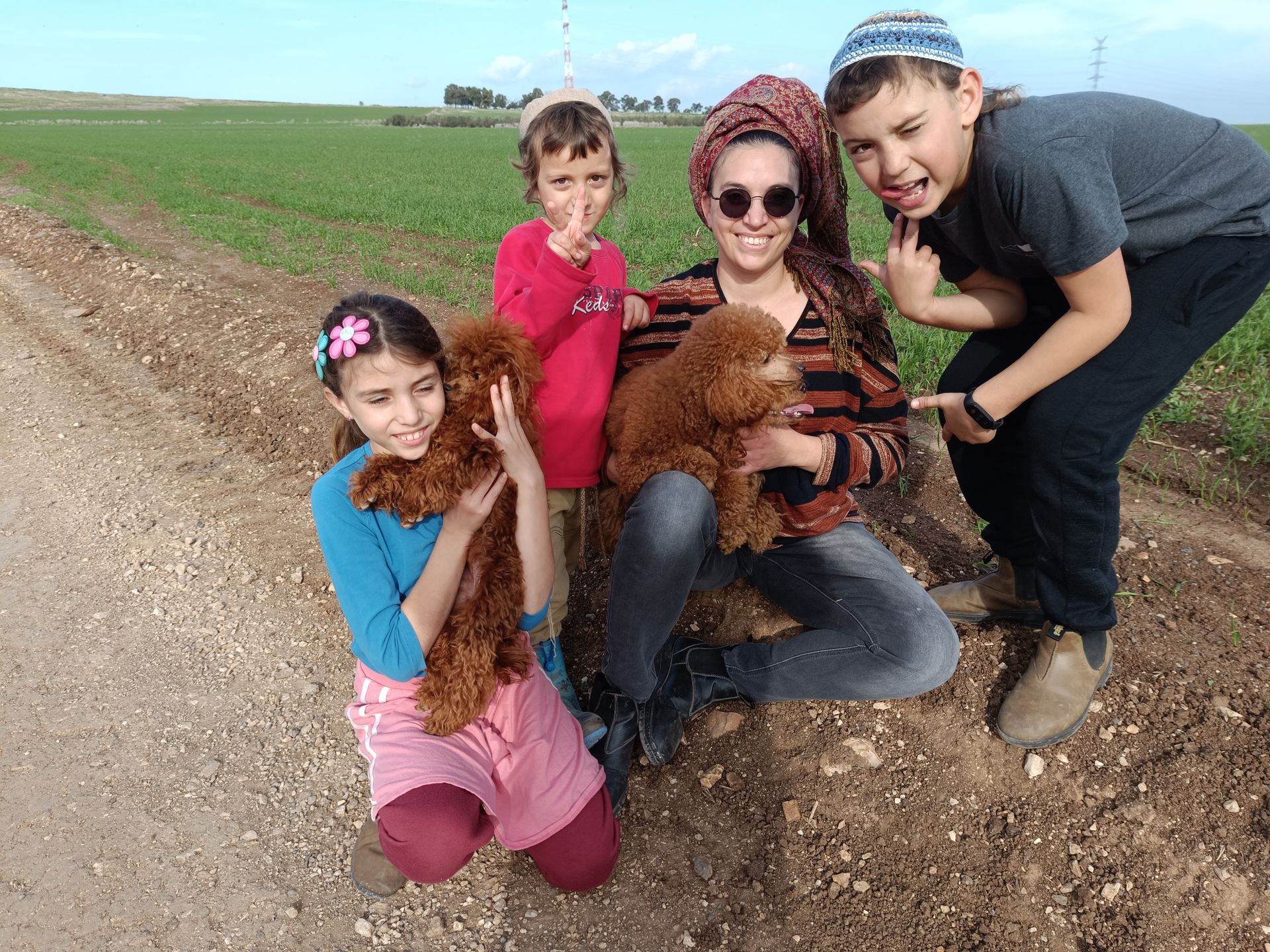 איך לבחור גור פודל גזעי