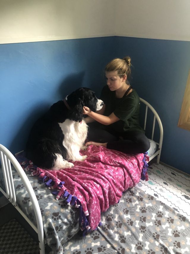 Friendly Pet Facility Curve Crest Kennels Oshkosh, WI