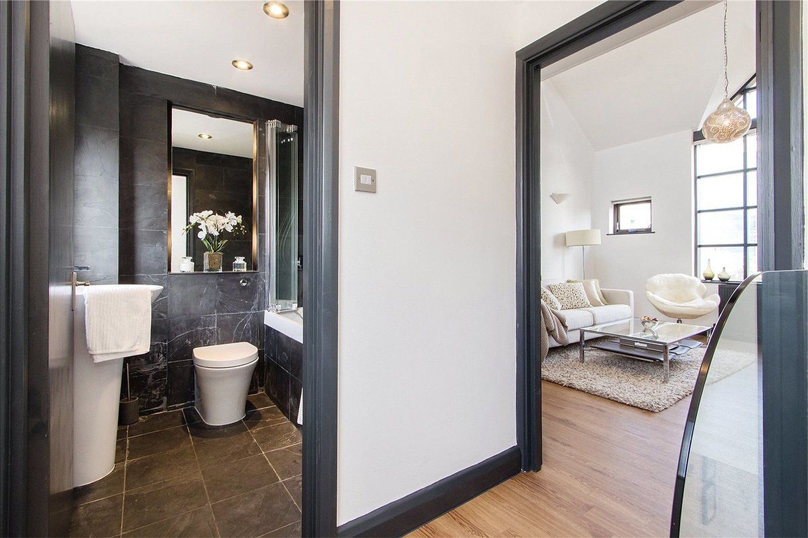 Hallway, bathroom and livingroom interior design