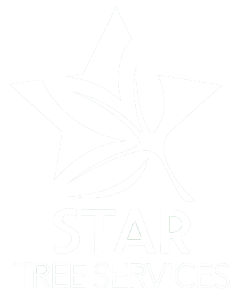 Star Tree Services LLC