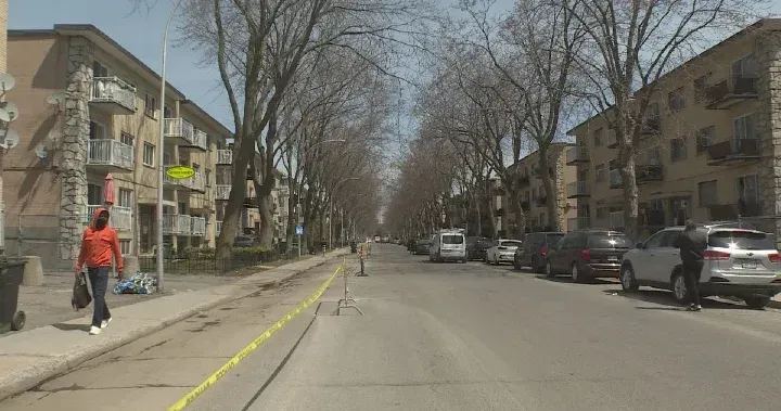 Montreal-Nord Black Owned Businesses