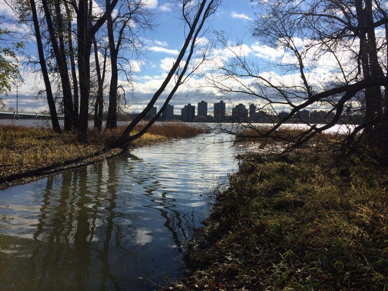 Riviere-Des-Prairies Black Owned Businesses