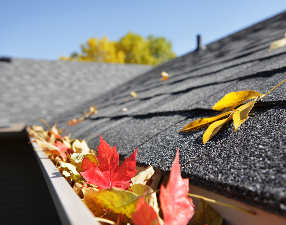 Roof maintenance tips and benefits of solar roofing for Denver homeowners.