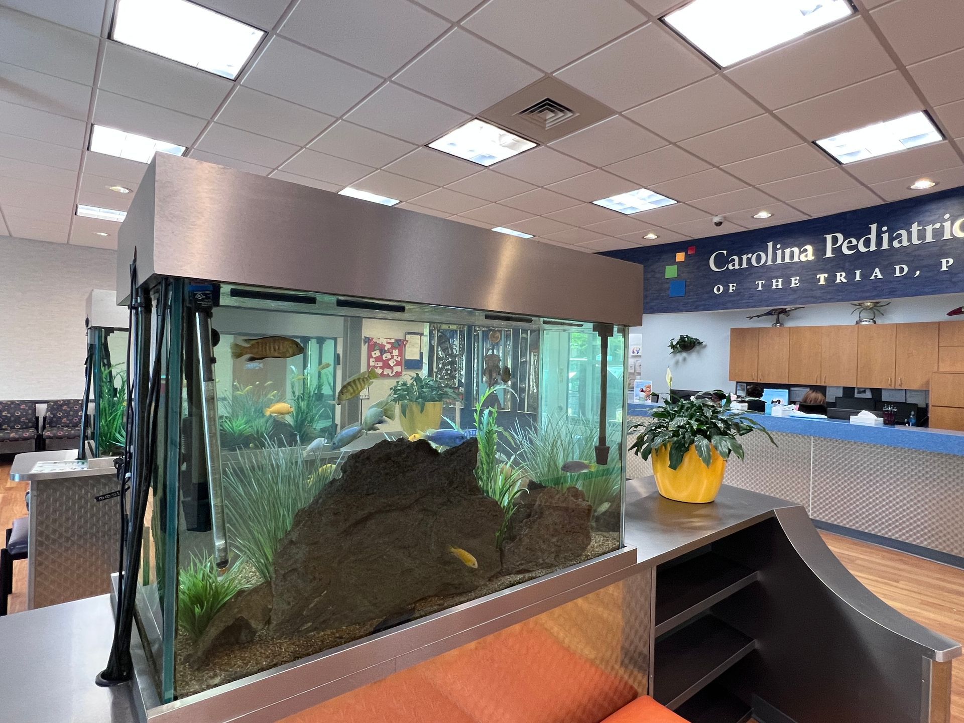 A large fish tank in a waiting room at carolina pediatrics