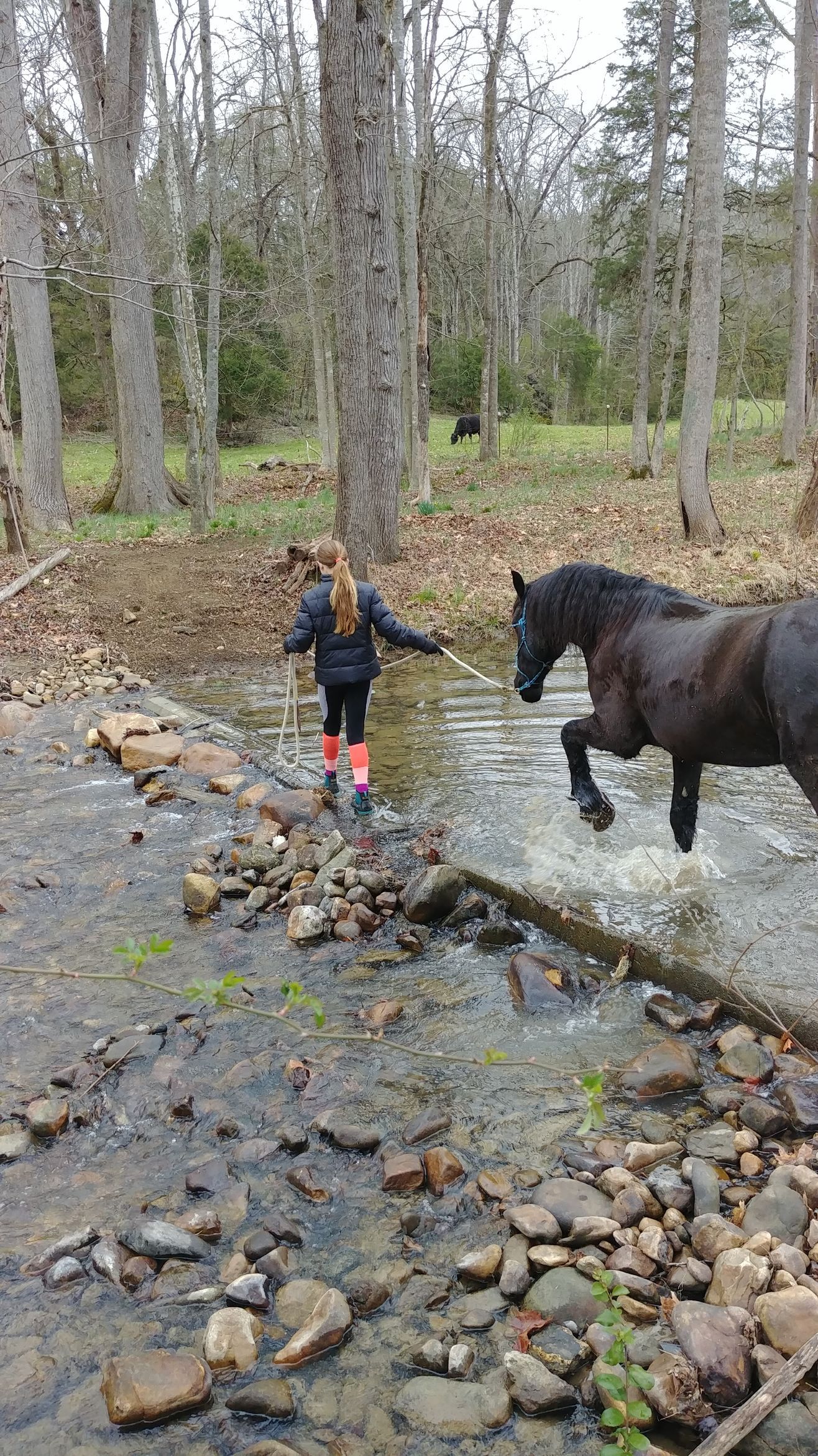 A woman is standing next to a brown horse and smiling