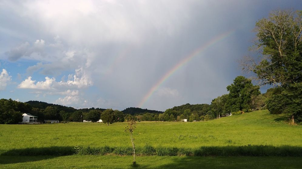 There is a rainbow in the sky over a grassy field.