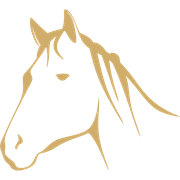 A drawing of a horse 's head on a white background.