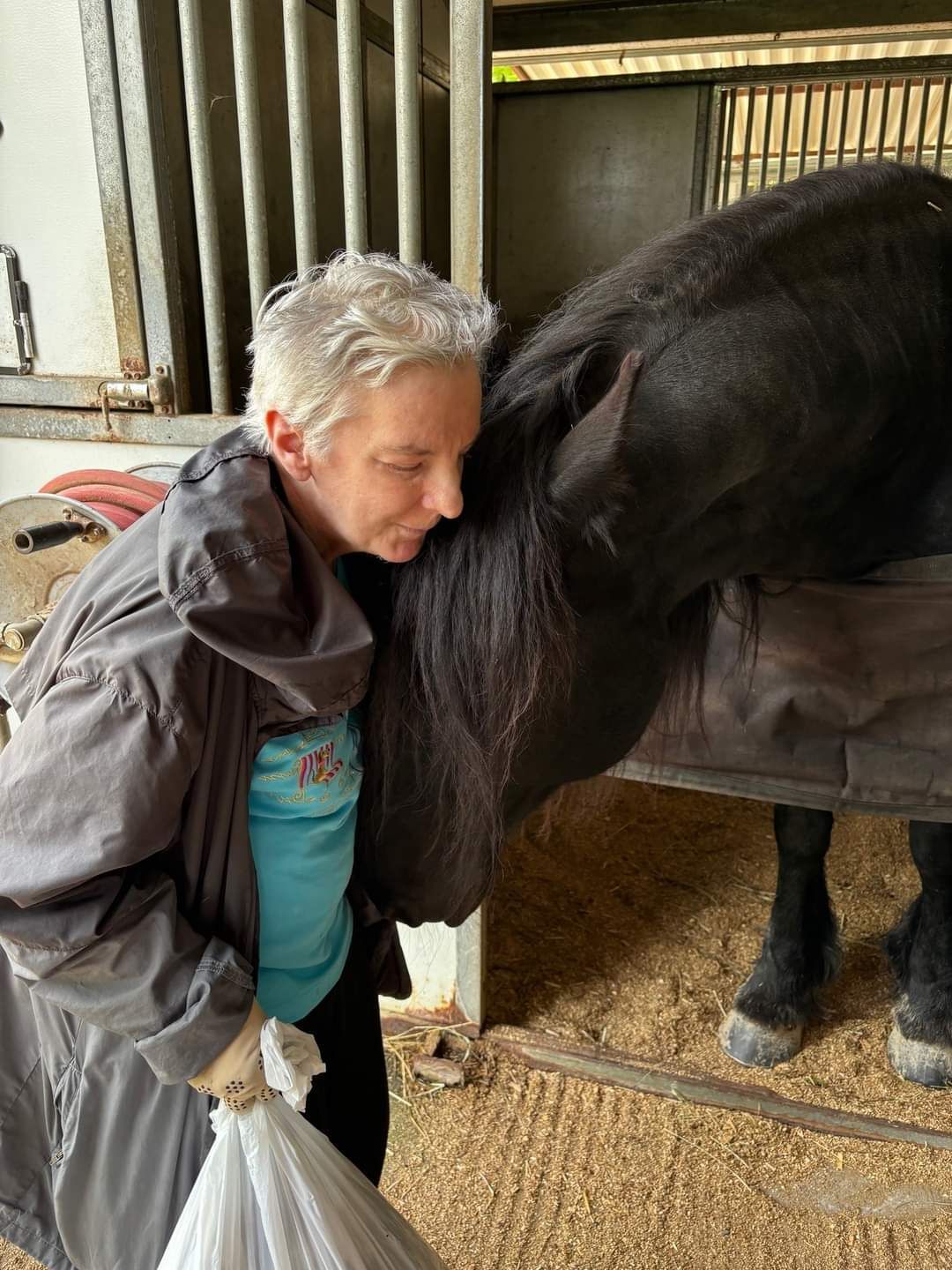 A woman in a blue jacket is brushing a brown horse.