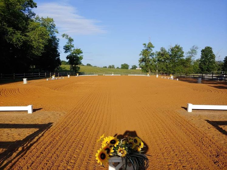 A vase of sunflowers sits in the middle of a dirt field.