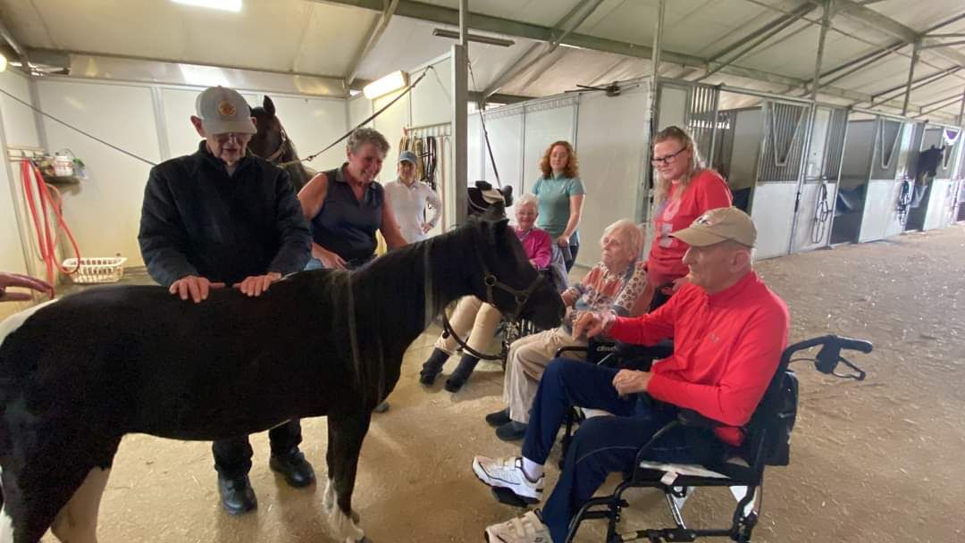 A group of people are standing around a pony in a stable.