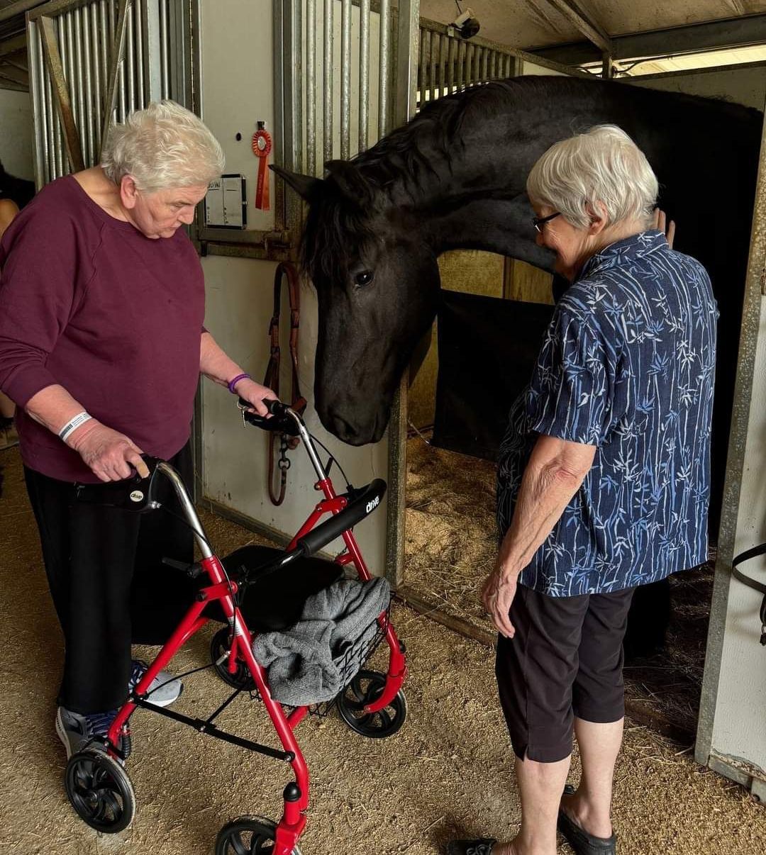 A man petting a brown horse in a stable