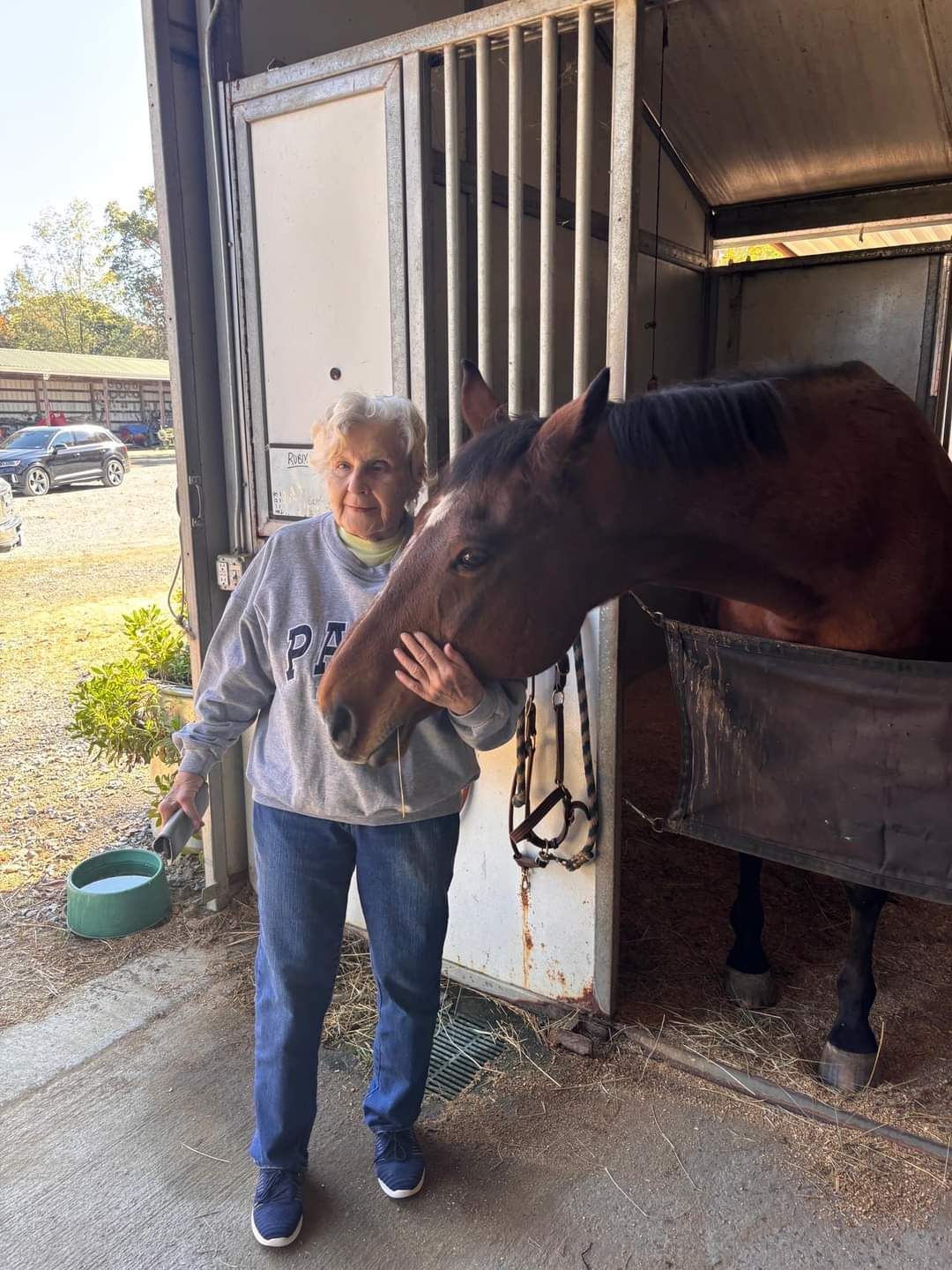 A man petting a brown horse in a stable