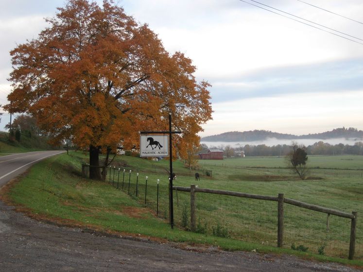 A sign on the side of a road shows a horse on it