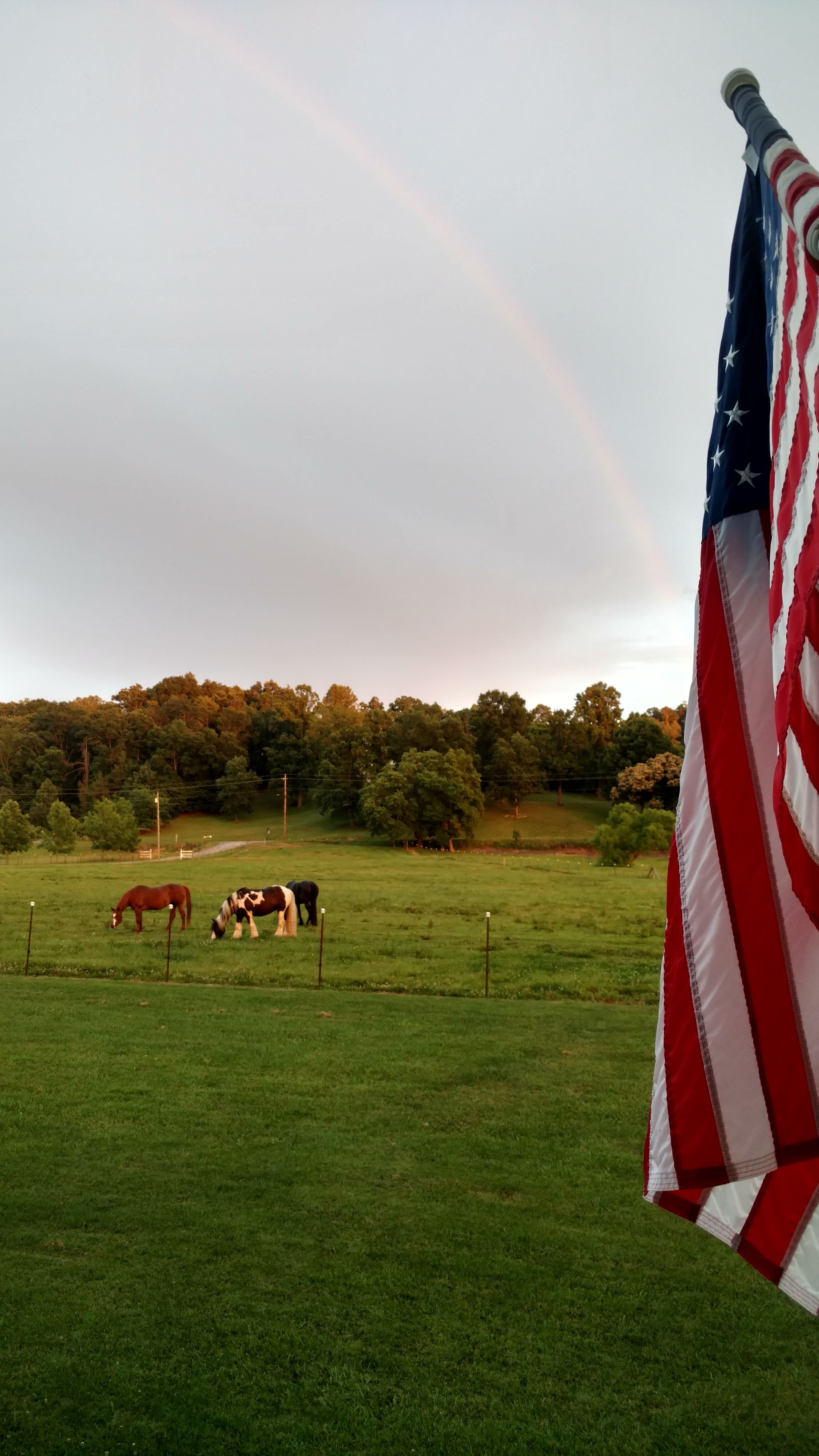 A man in a military uniform is standing next to a horse and an american flag