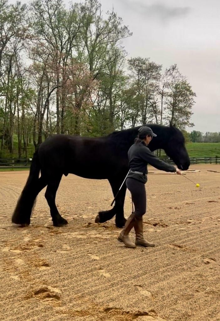 A woman is standing next to a large black horse in a dirt field.