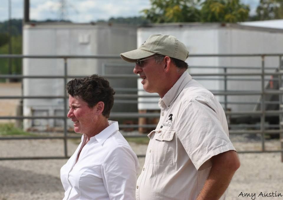 A man is sitting on a cart pulled by three horses.