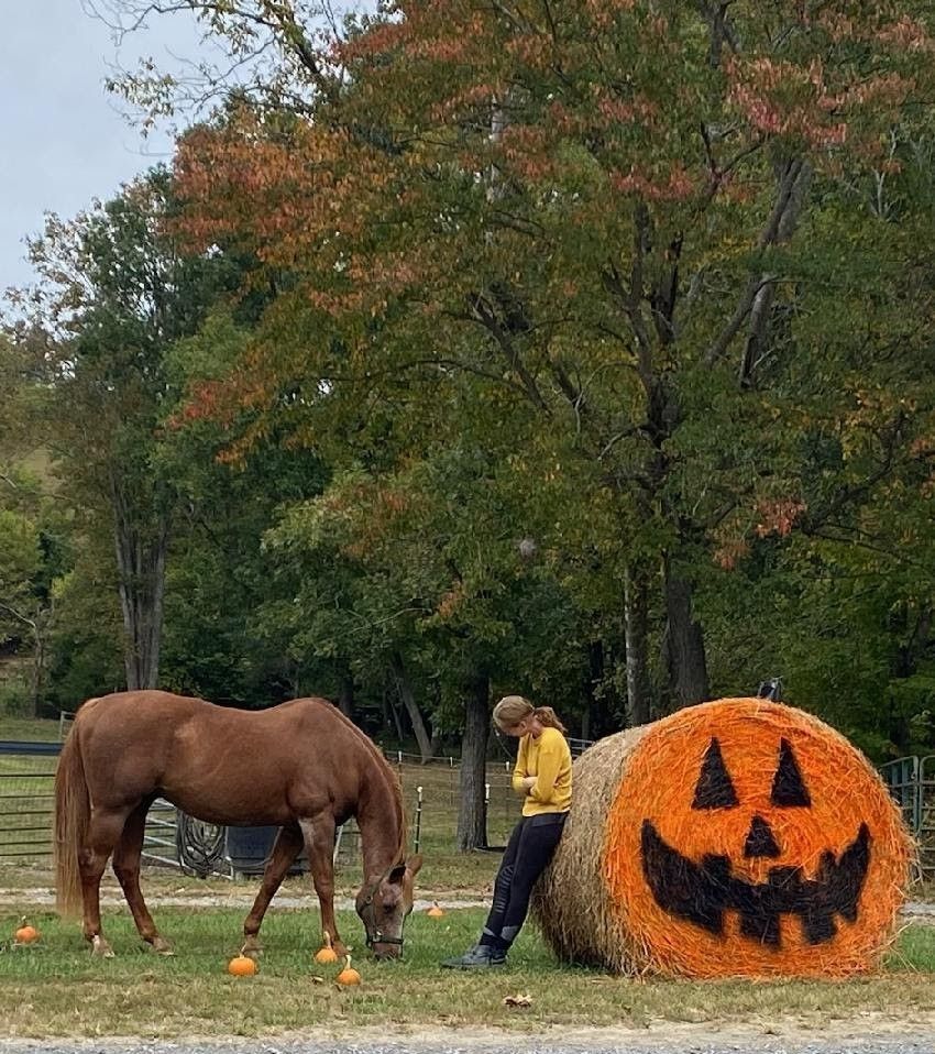 A horse is grazing next to a hay bale with a pumpkin face painted on it