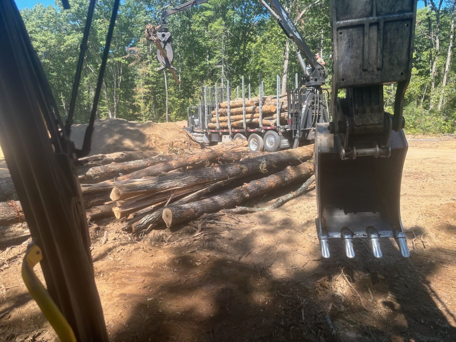 A large pile of logs is being loaded onto a truck.