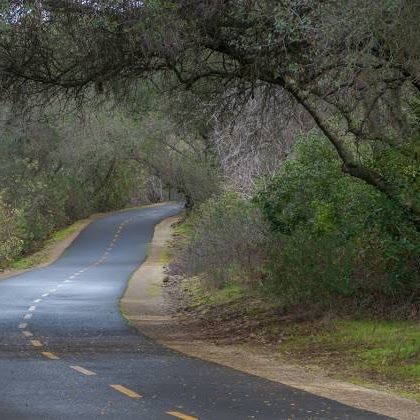 tattoo shops near me auburn ca