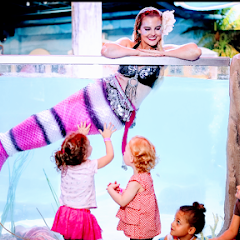 tattoo shops near me auburn ca