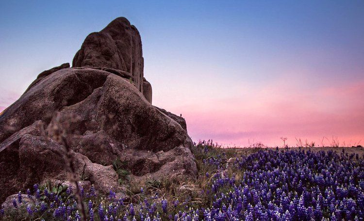 tattoo shops near me auburn ca