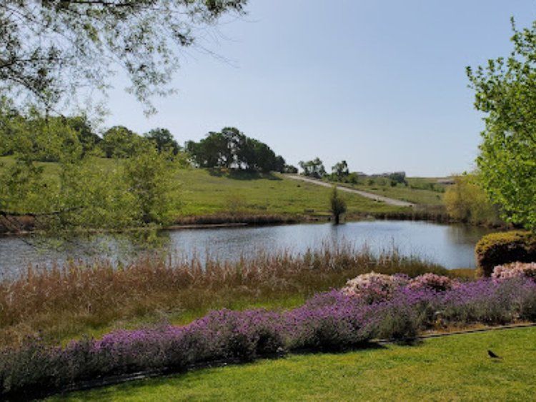 tattoo shops near me lincoln ca