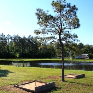 Horseshoe pits next to a tree and lake in a park setting.