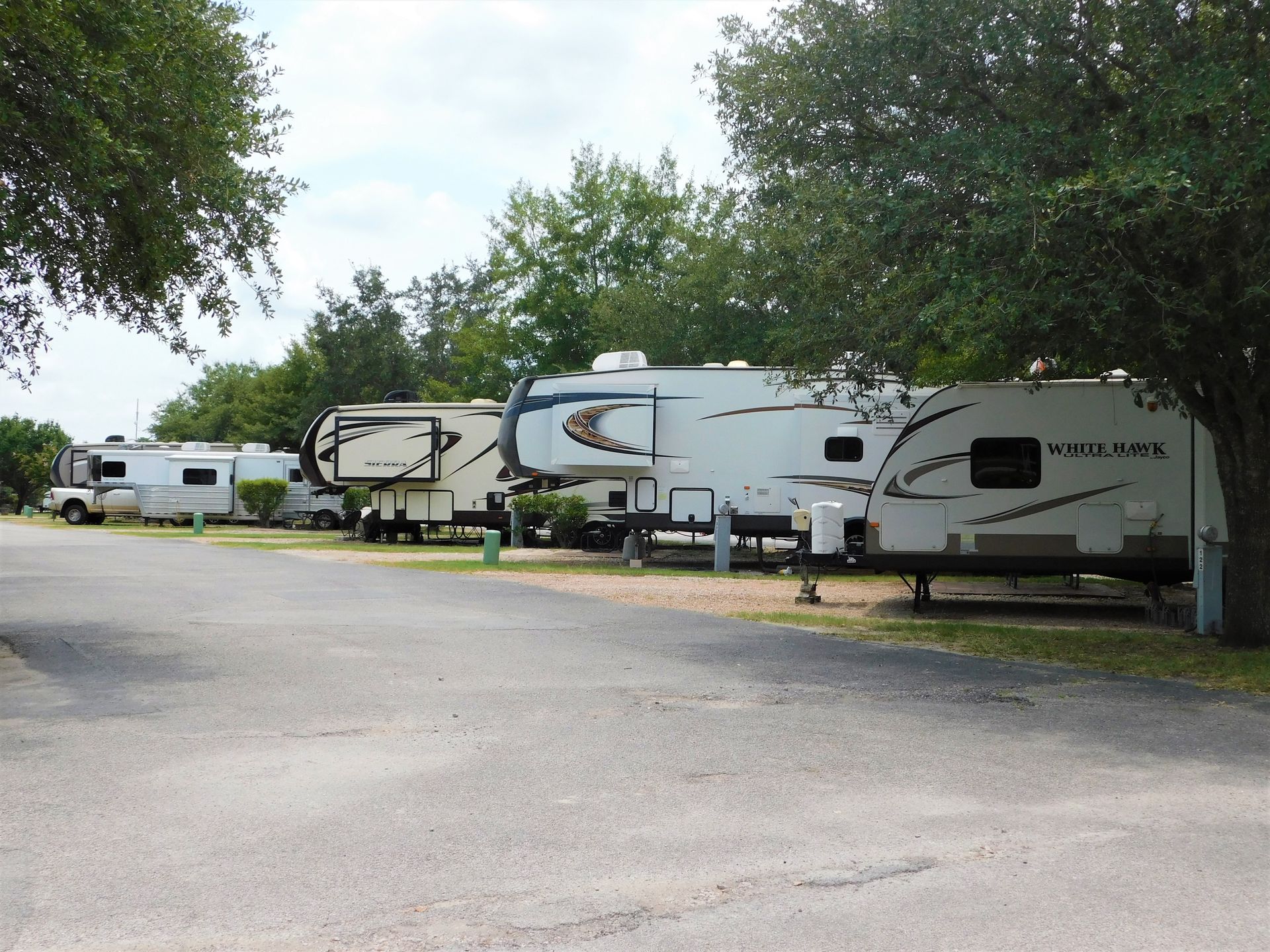 RV park with multiple recreational vehicles parked on a paved road, greenery and trees.