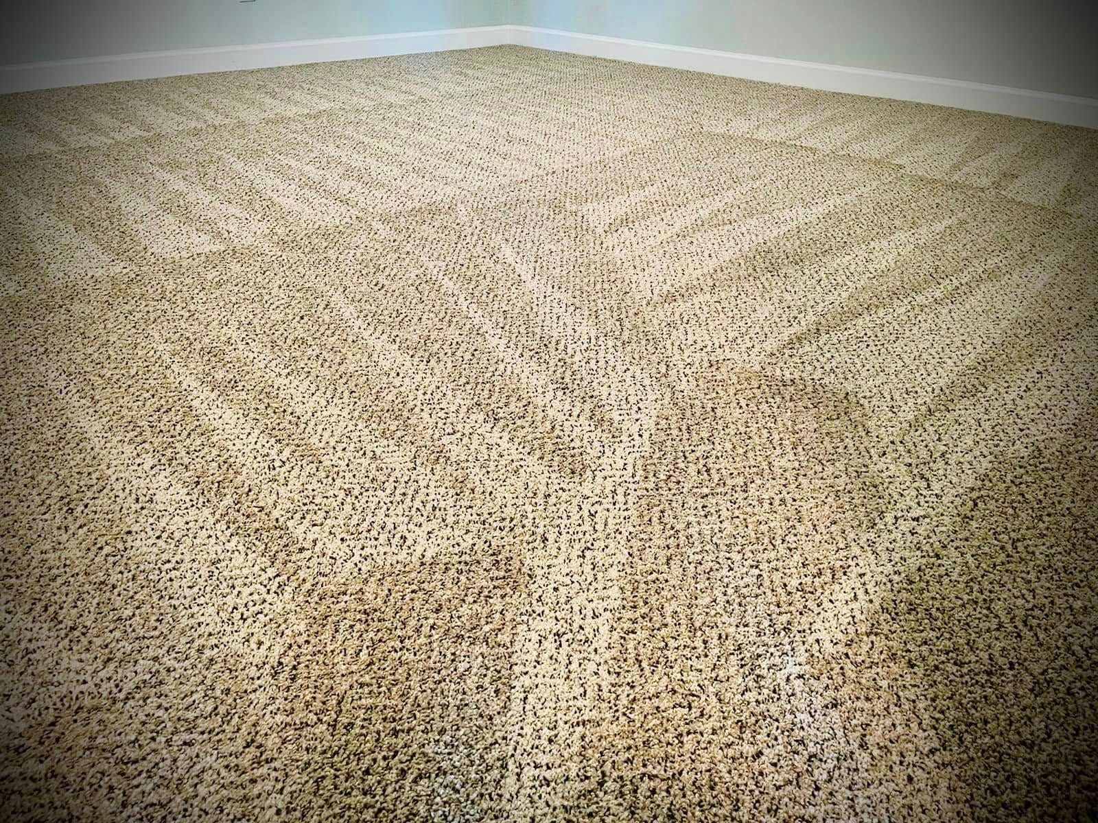 Beige carpet in a corner of a room. The fibers have directional patterns.