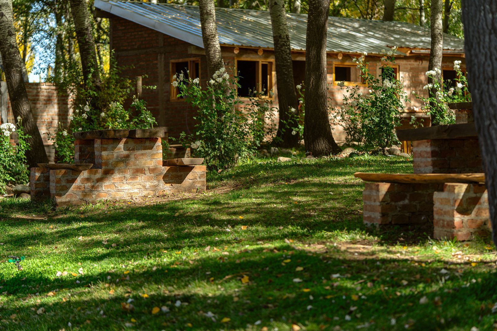 Una casa de madera en medio de un frondoso bosque verde