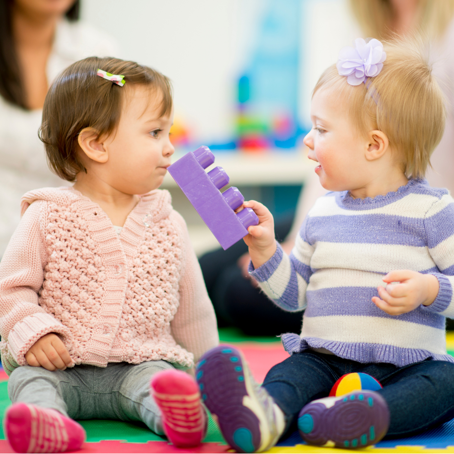 First Steps Preschool and Daycare Trinity FL