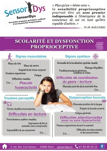 Brochure de l'association Sensoridys sur le lien entre scolarité et dysfonction proprioceptive résumant les signes majeurs.