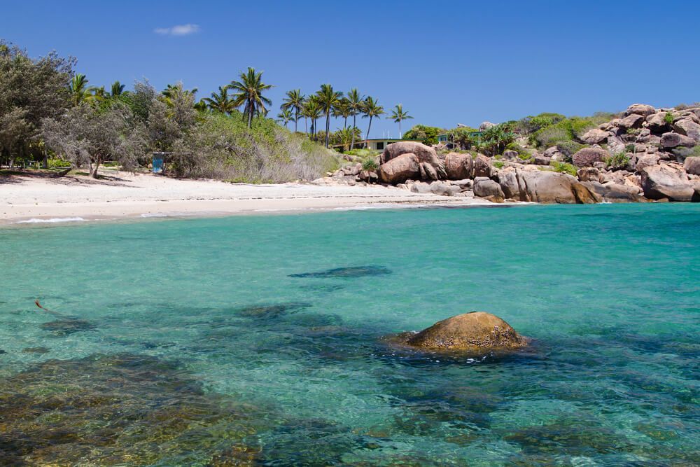 A Beach With Palm Trees And A Large Rock In The Water — Dieselflash Whitsundays in Bowen, QLD