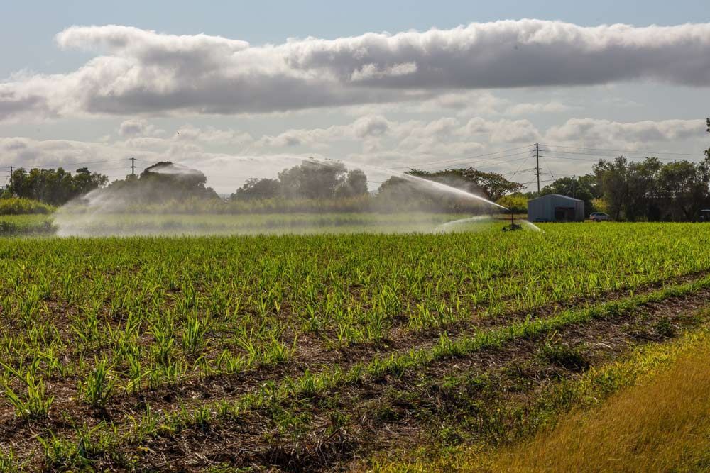 A Sprinkler Is Spraying Water On A Field Of Plants — Dieselflash Whitsundays in Proserpine, QLD