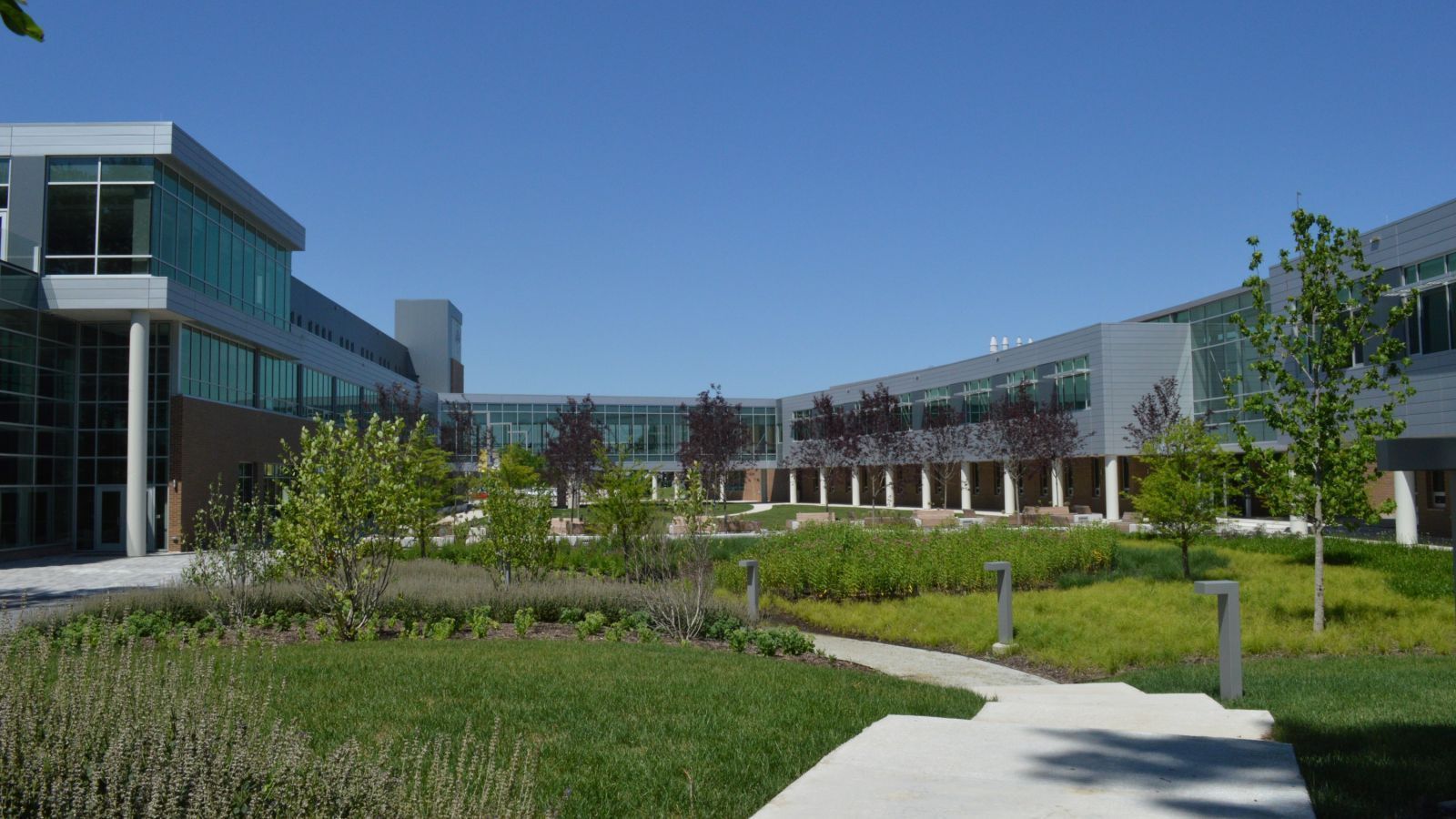 Exterior view of a modern building with glass windows and a landscaped courtyard with green grass, trees, and a walkway under a clear blue sky.