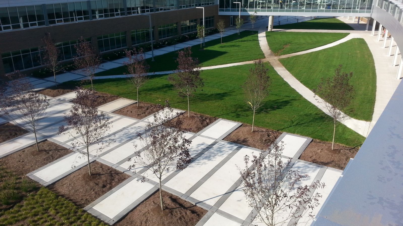 Courtyard with trees, grass, and walking paths between buildings. Green lawn and light gray concrete squares and paths.