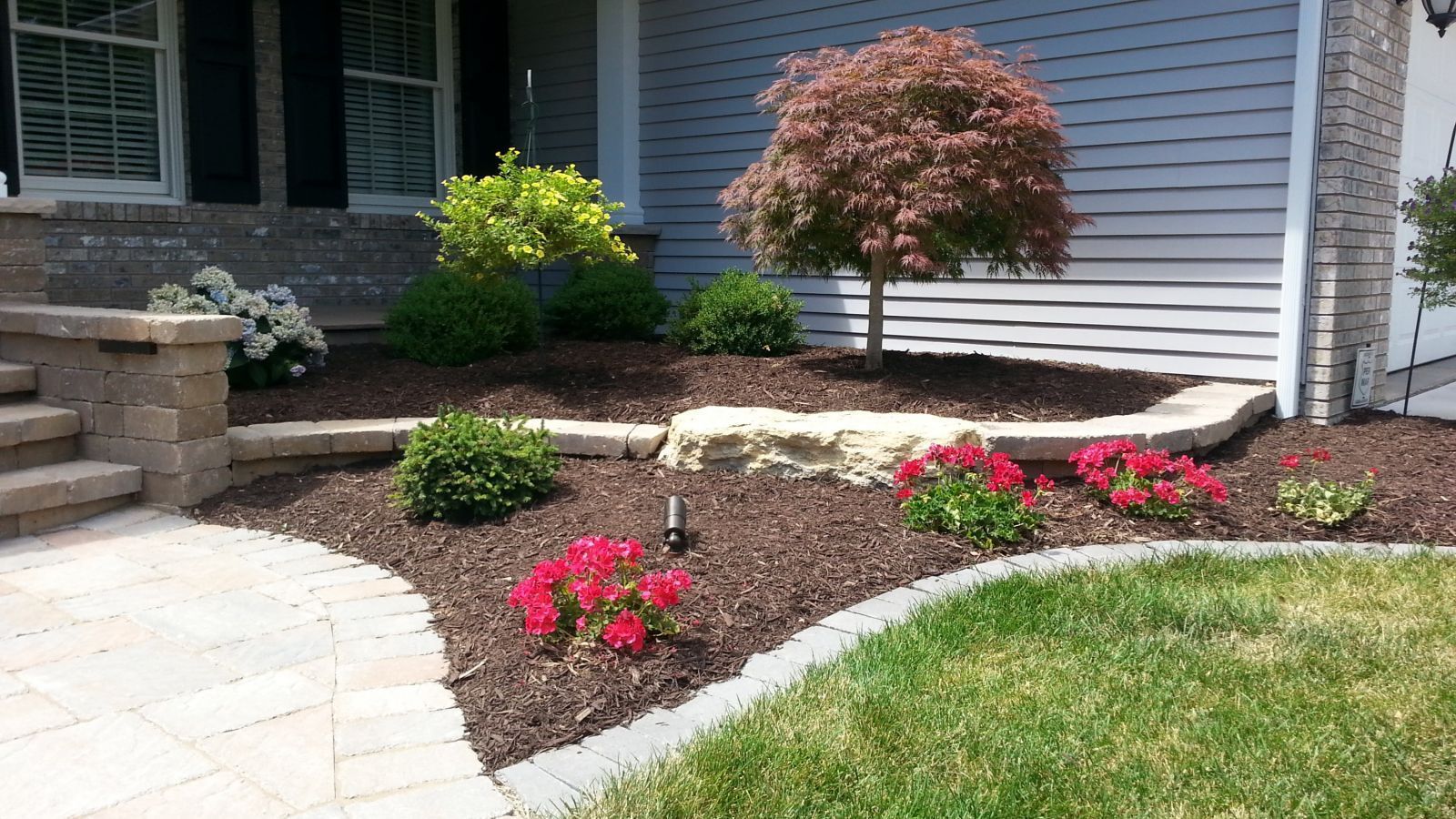 A landscaped front yard with a walkway. A variety of plants, trees, and flowers are set in dark mulch.