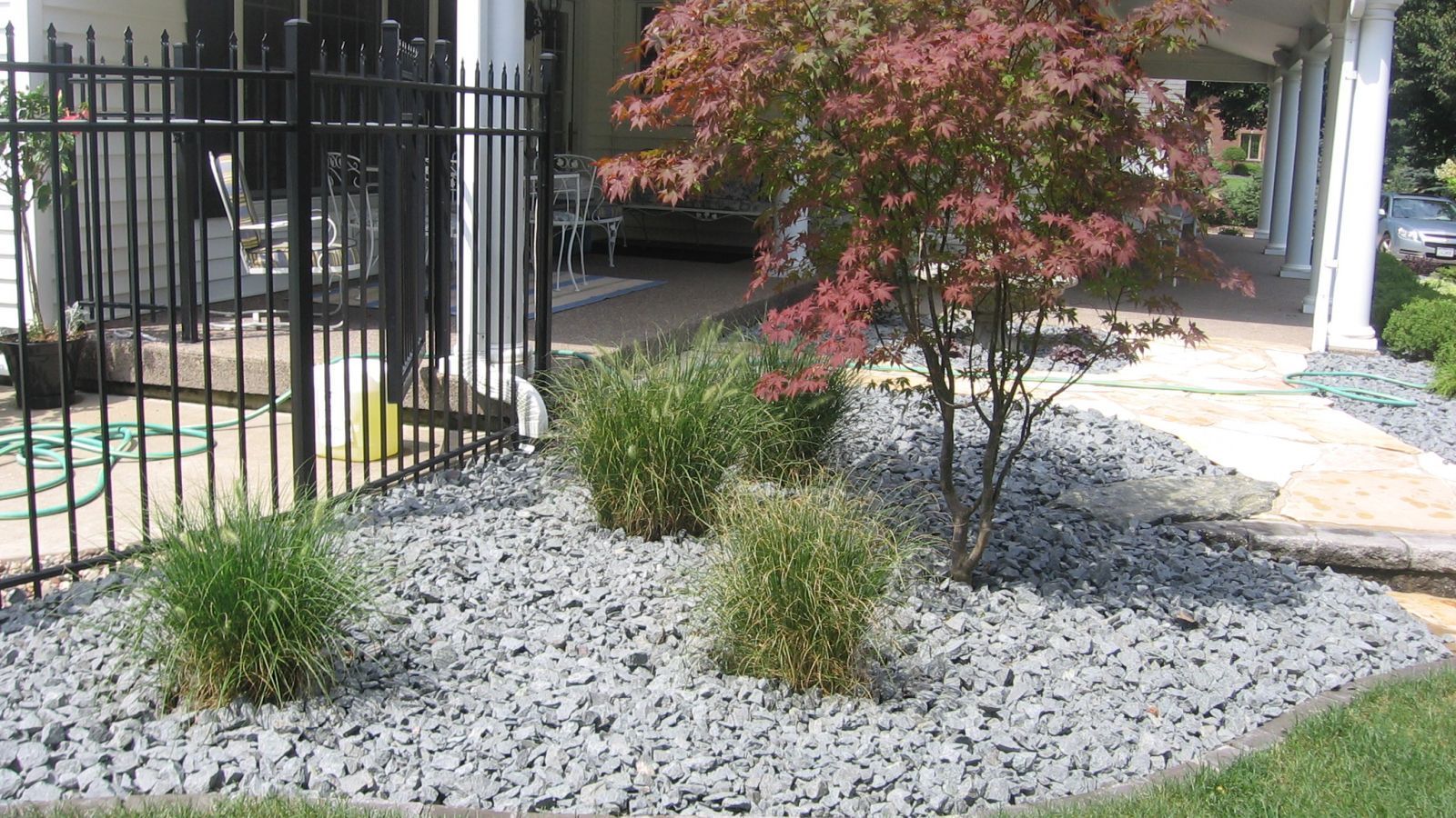 Landscaped yard with gray gravel, ornamental grasses, and a small tree with reddish leaves near a black fence.