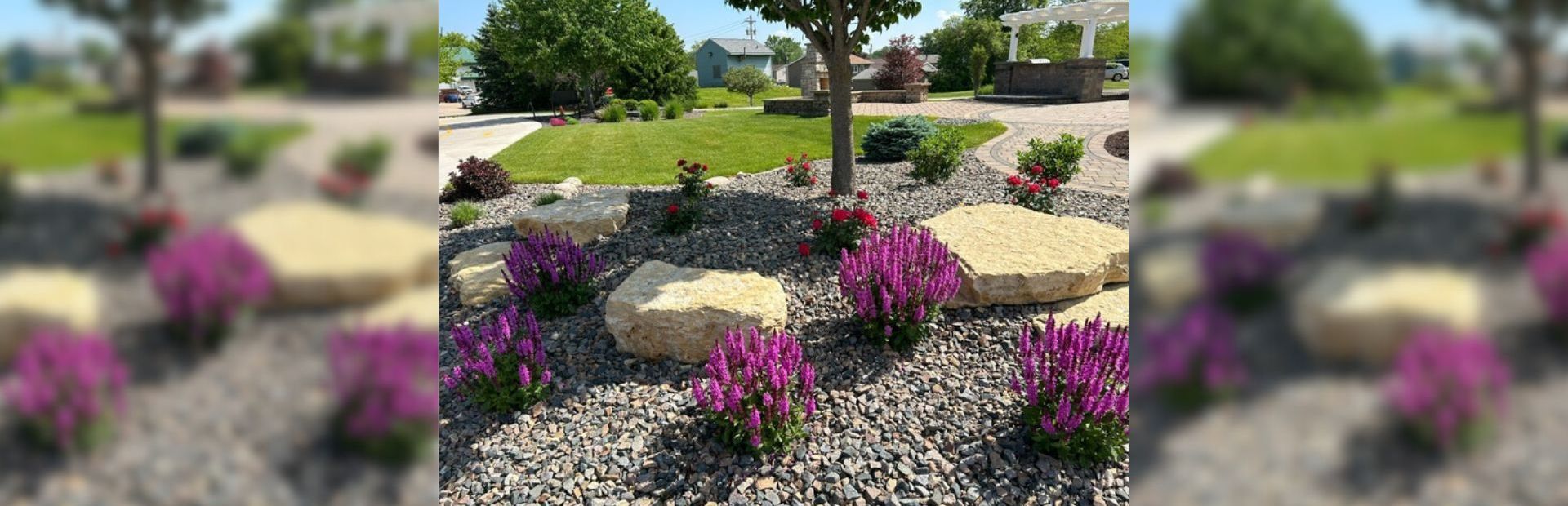 A decorative garden bed with purple flowers, light-colored rocks, and dark gravel. A grassy hill and a tree are in the background.