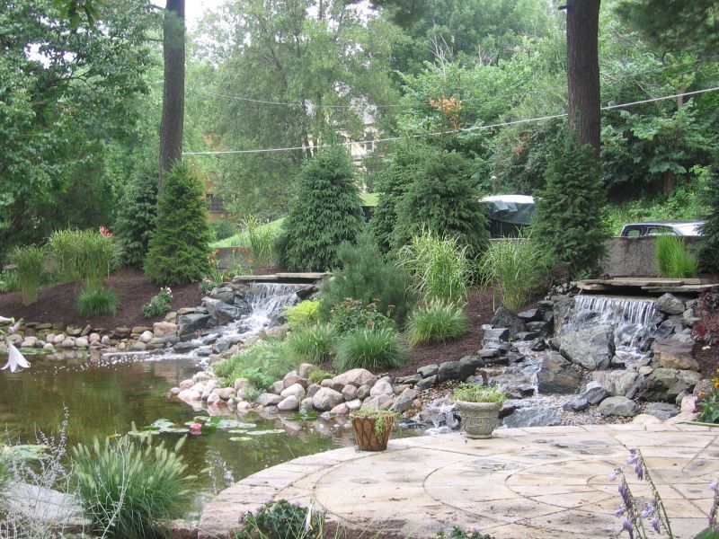 A landscaped backyard with a pond, small waterfalls, stone patio, and lush greenery.