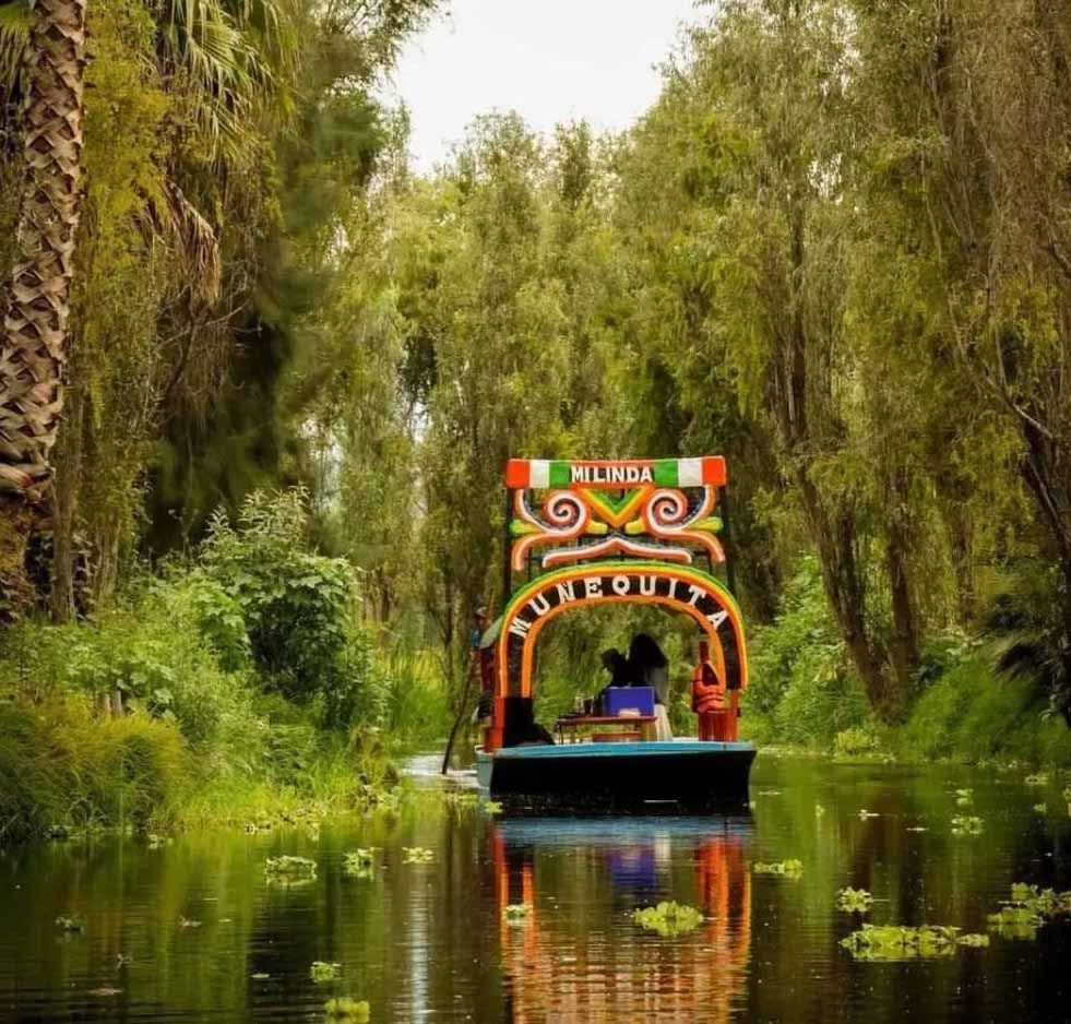 medical tourism in mexico city