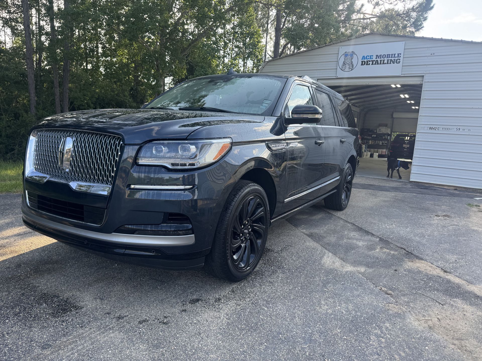 Ace Mobile Detailing