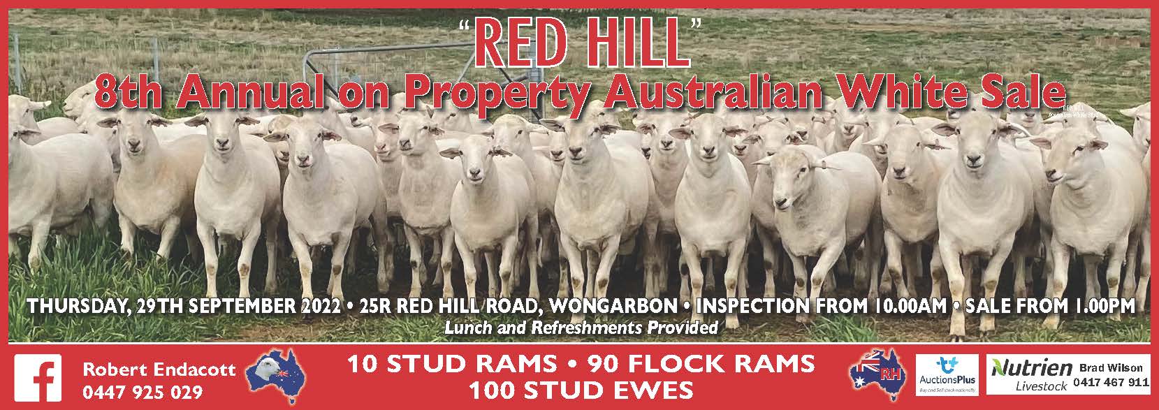 Red Hill Sale Ad